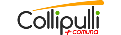 Logo de Municipalidad de Collipulli — cliente de Terranova